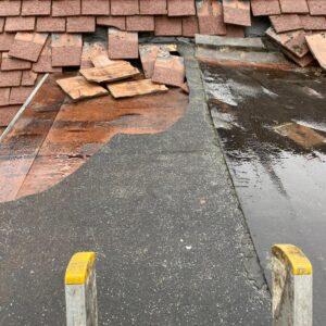 Professional Roof Repairs in Stapleford